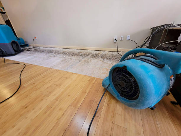 Professional Water Extraction technician working in Gretna, NE